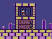 The Lucky Dime Caper Starring Donald Duck sur Sega Master System